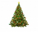 Rozsvěcení vánočního stromu 1
